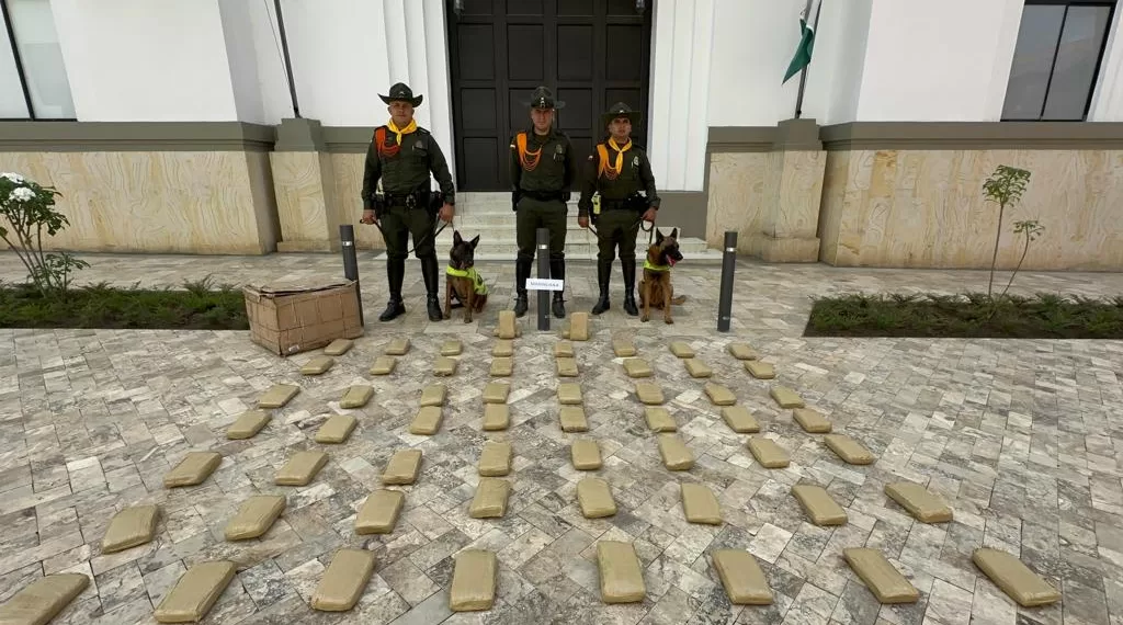 ‘LASSIE Y DAZ’ dos perros de la policía de Bucaramanga encontraron 33.900 gramos de marihuana en una encomienda