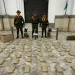 ‘LASSIE Y DAZ’ dos perros de la policía de Bucaramanga encontraron 33.900 gramos de marihuana en una encomienda