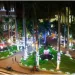 En Bucaramanga se está encendiendo el alumbrado navideño