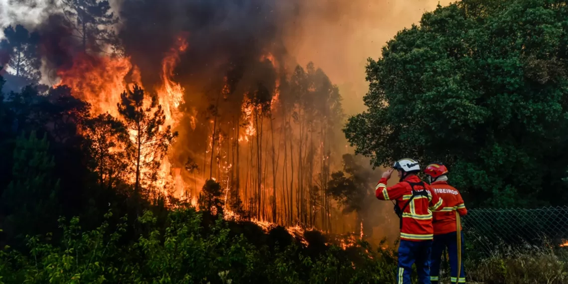 Declarada «Alerta Roja» en 30 municipios de Santander ante la ola de calor