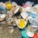En Colombia queda prohibido ingresar plásticos de un solo uso a áreas protegidas y ecosistemas sensibles