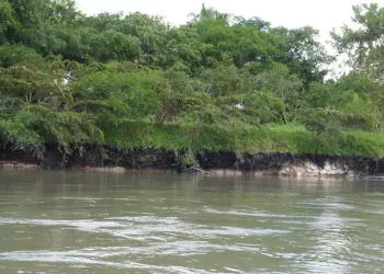 Cenit adelanta inspecciones en el río Sogamoso, zona rural de Puerto Wilches