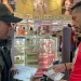 Policía realizó video de Navidad y lideró jornada para evitar extorsiones