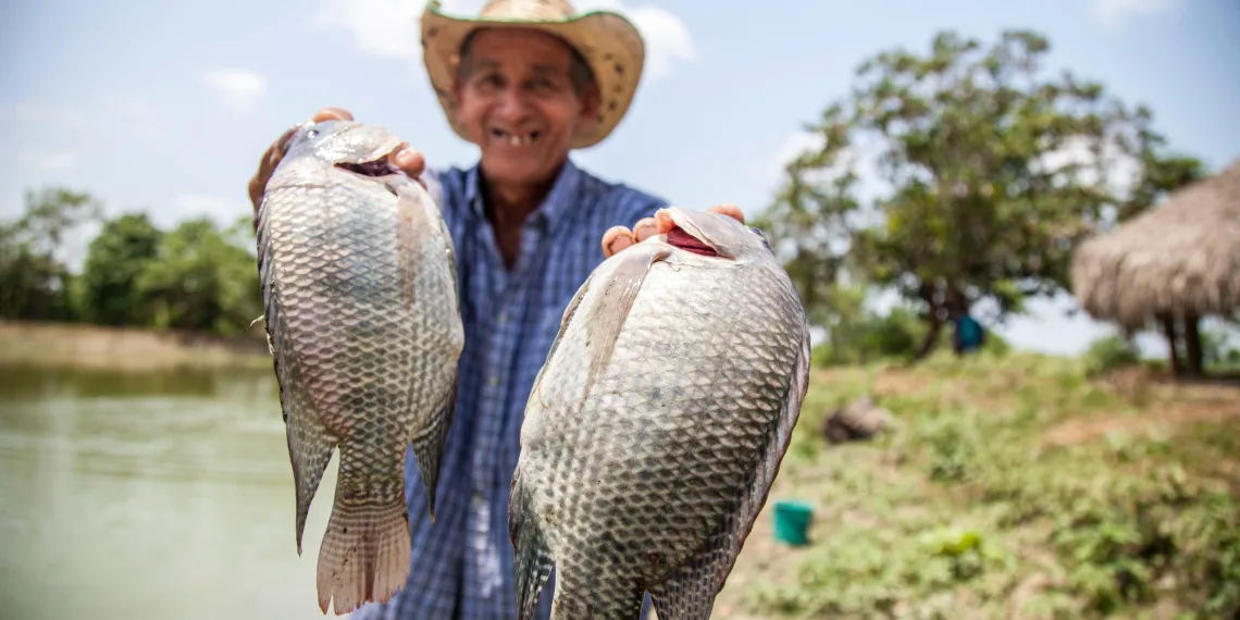Micronegocios y emprendimientos populares no pagarán INVIMA