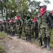 Gobernador de Santander no descarta posible presencia del ELN en el Sur del Departamento