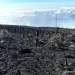 En 98% está controlado el incendio de capa vegetal en el Páramo de Berlín