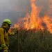 Controlado incendio forestal en El Playón, Santander