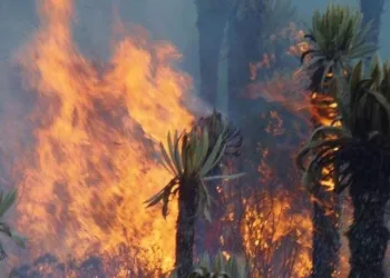ATENCIÓN: Aumenta la cadena de incendios forestales en Santander