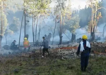 La UNGRD informa sobre los incendios forestales que se presentan en el país