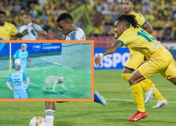 Por un perro, fue multado Atlético Bucaramanga con seis millones y medio de pesos