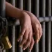 Judicializado menor por presunta responsabilidad en un homicidio