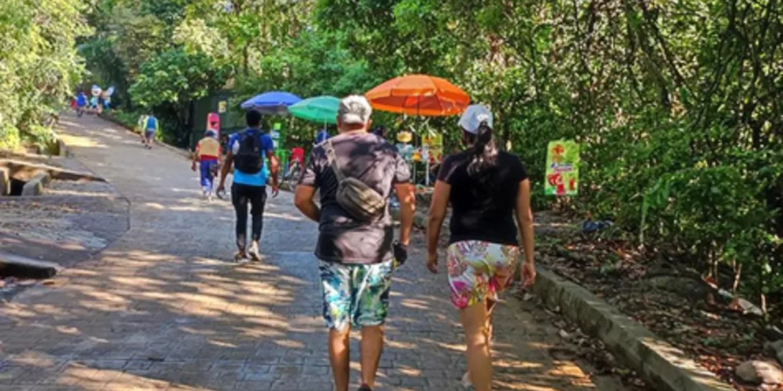 Comienzan caminatas ecológicas 5K por los mejores senderos de Bucaramanga