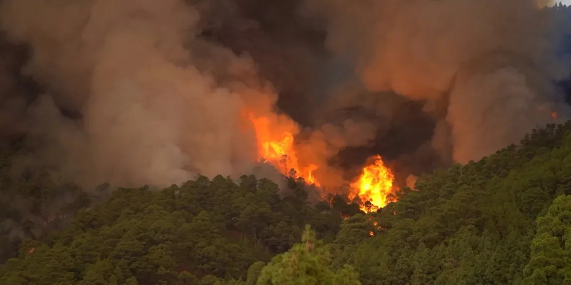 Arde la montaña en la vereda Báchiga del municipio de Matanza