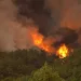 Arde la montaña en la vereda Báchiga del municipio de Matanza