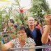 En Piedecuesta se entregarán este domingo de ramos 1000 plantas con el propósito de proteger la palma de cera