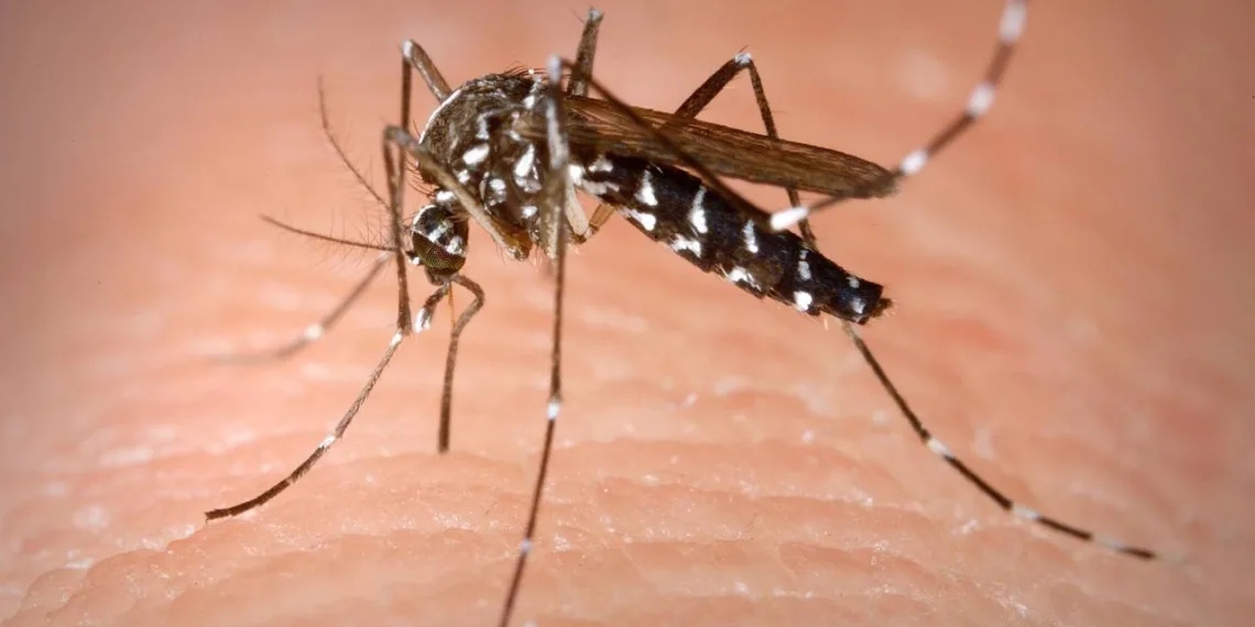 Santander continúa en alerta roja por casos de dengue, un menor la víctima más reciente