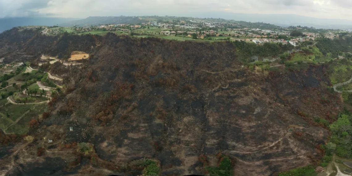 Cerca de 204 hectáreas afectadas en sector de Ruitoque, por incendios forestales