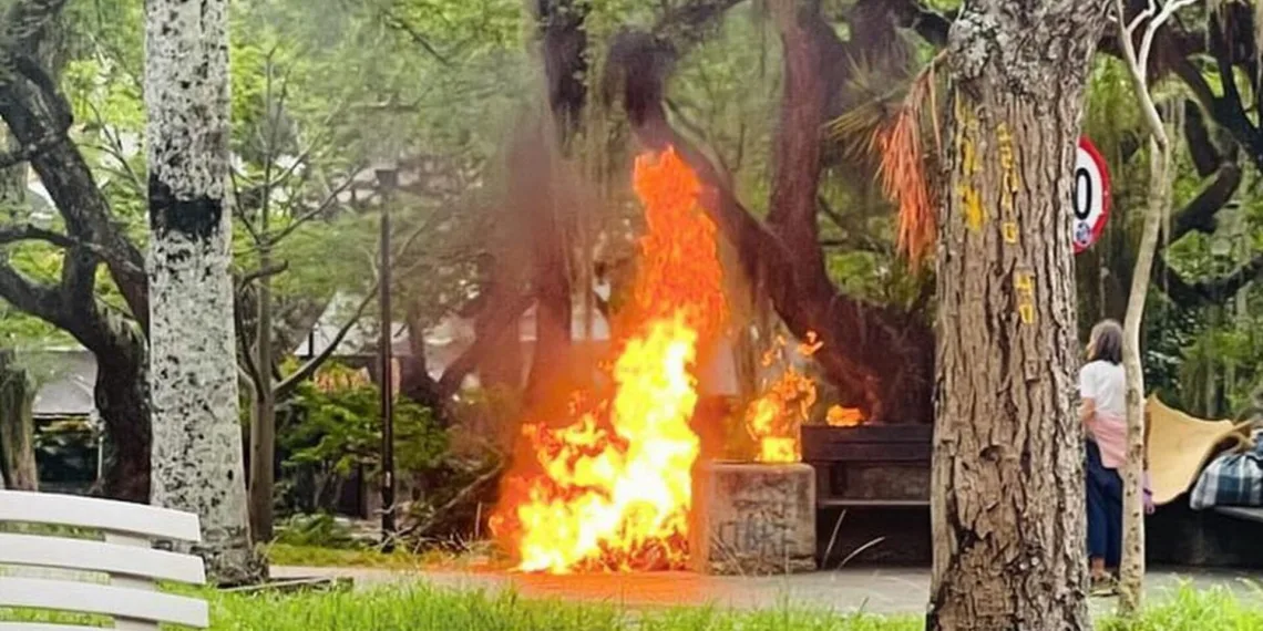 Imprudencia de sujeto que prendió una hojarasca provoca incendio en el parque San Pío de Bucaramanga  