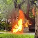 Imprudencia de sujeto que prendió una hojarasca provoca incendio en el parque San Pío de Bucaramanga  