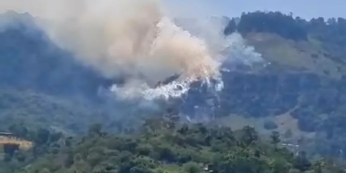 Incendio forestal en el cerro el Volador y Mesitas de la Mesa de los Santos