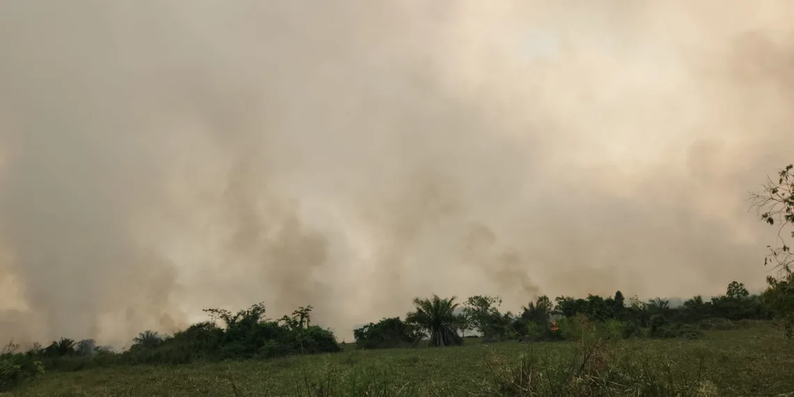 Continúan las emergencias en Santander por incendios Forestales