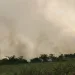Continúan las emergencias en Santander por incendios Forestales