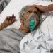 Recluida en Clínica Cardiovascular de Valledupar Mamá Vila, madre del fallecido cantautor Diomedes Díaz Maestre