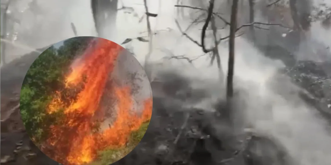 En un 80% ha sido controlado incendio forestal en la vereda El Volador de Piedecuesta