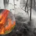 En un 80% ha sido controlado incendio forestal en la vereda El Volador de Piedecuesta