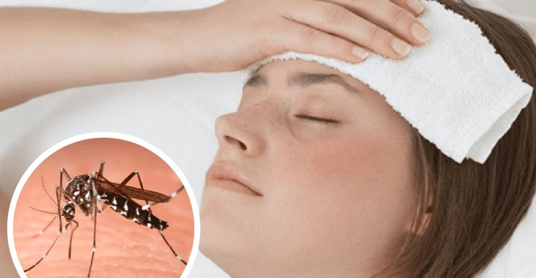 12 muertos por Dengue en Santander, Bucaramanga la ciudad más golpeada por fallecimientos en el departamento