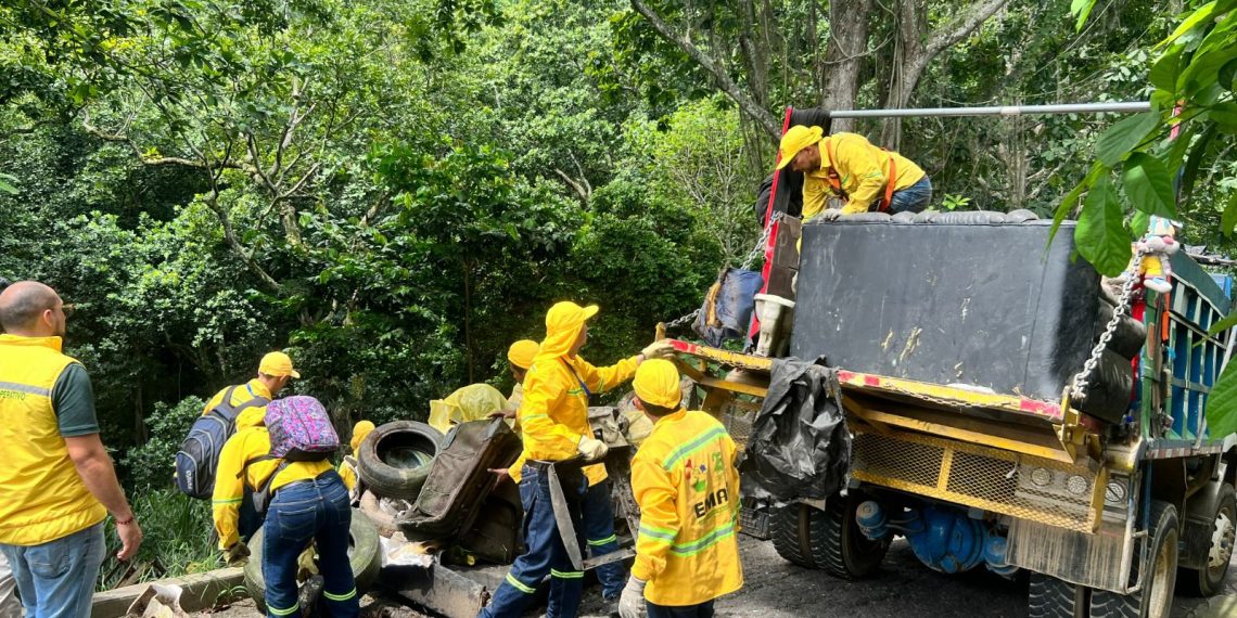 Autoridades ambientales de Bucaramanga se unen para embellecer la ciudad