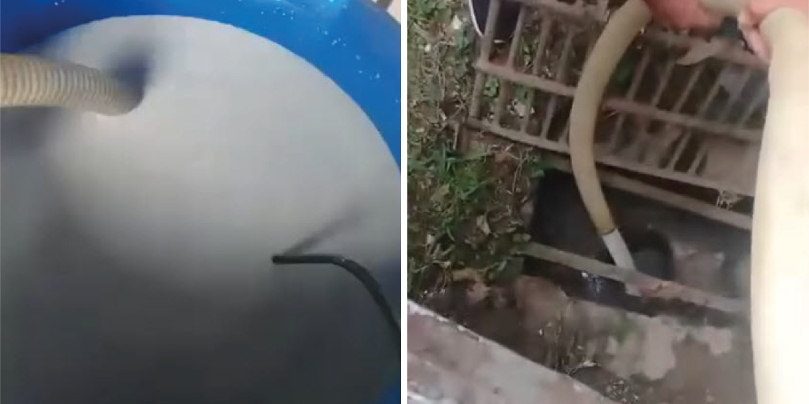 Están botando la leche, por falta de compradores