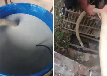 Están botando la leche, por falta de compradores