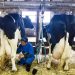 Compromisos de MinAgricultura en congreso de Industria Láctea