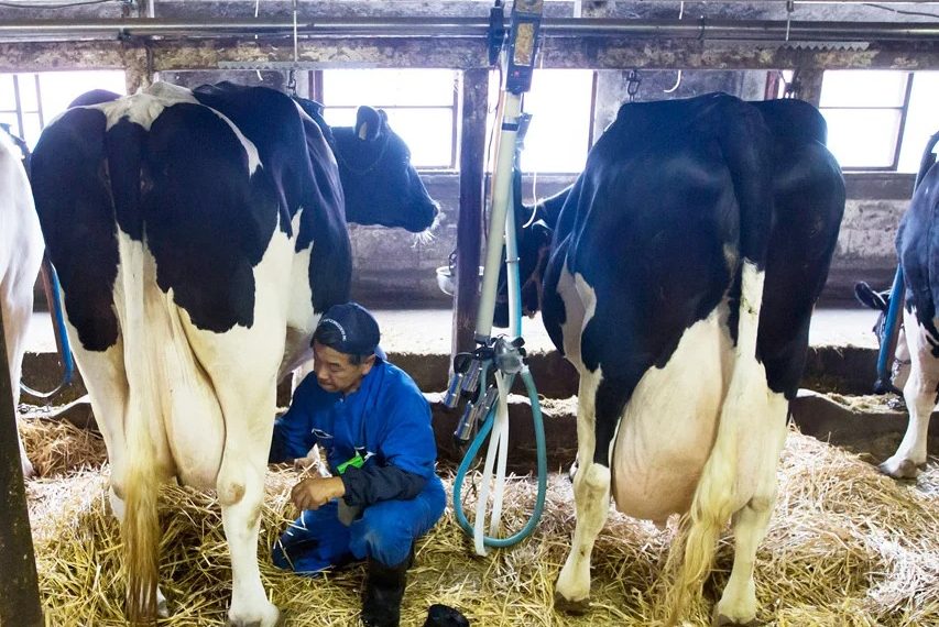 Compromisos de MinAgricultura en congreso de Industria Láctea