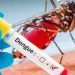 Dengue no da tregua en Santander, casos en aumento