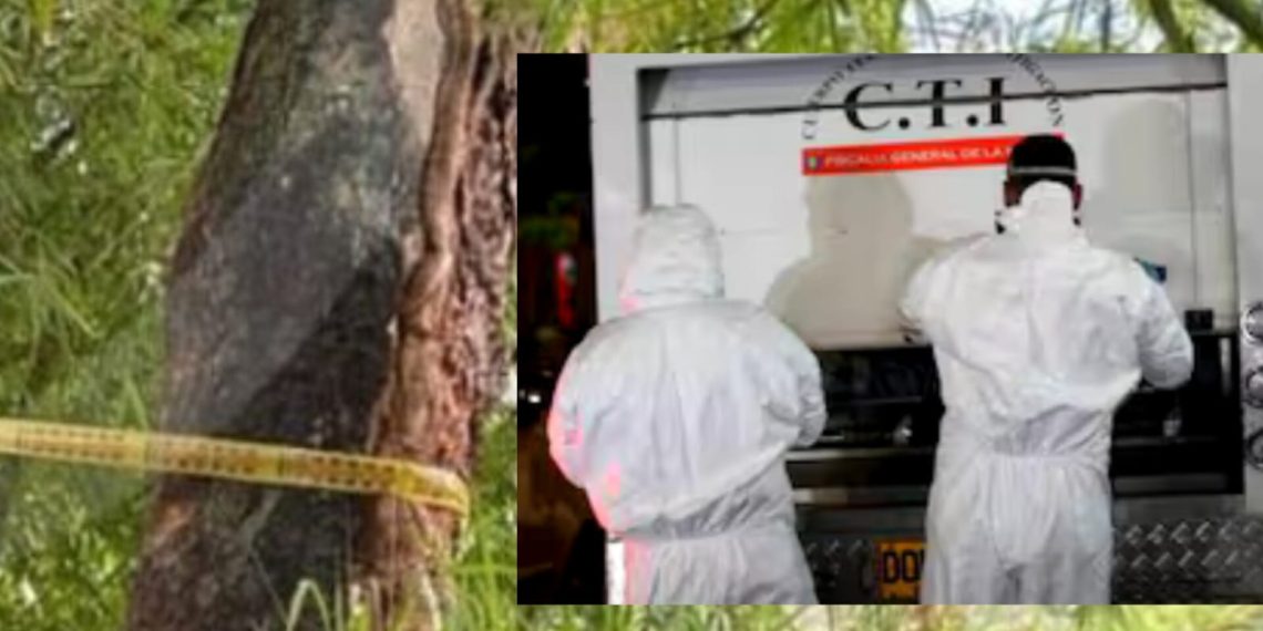 Mujer de 29 años fue asesinada en cancha de la cumbre de Floridablanca