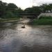 Contaminación en el río Suárez ante caída de ACPM que transportaba vehículo que se accidentó