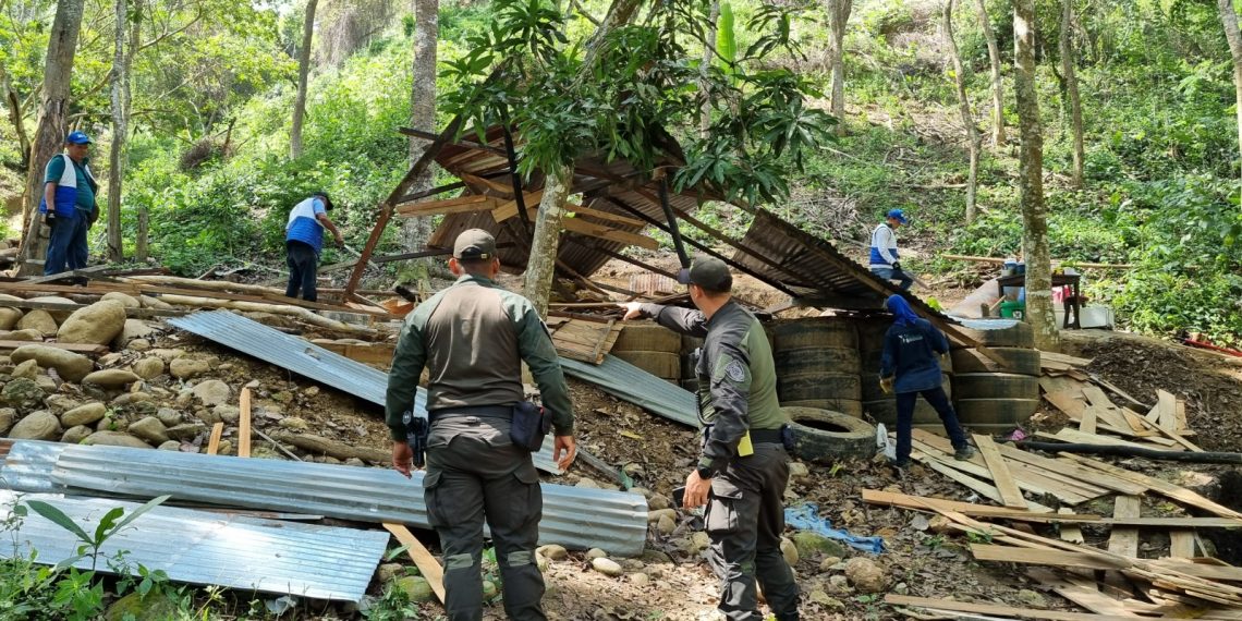 Autoridad Ambiental en primer semestre de 2024, logró la captura de 36 personas por actividades de minería ilegal