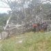 Desplome de torre de energía dejó un trabajador muerto y cinco más heridos, en San Vicente de Chucurí, Santander