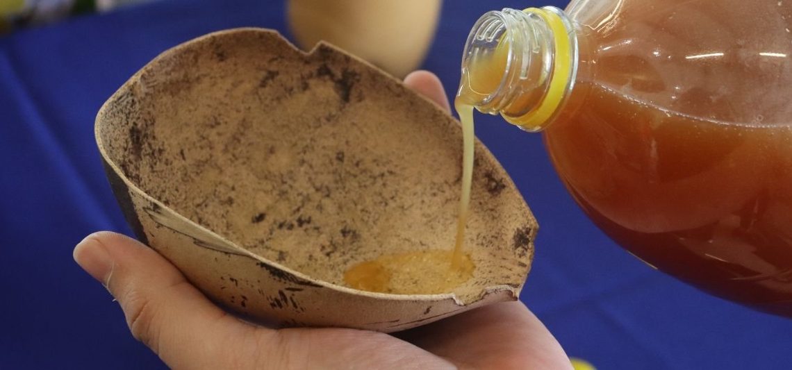 UDES inauguró exposición museográfica: un viaje a través de los saberes ancestrales fermentados