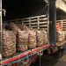 Tras fin del paro camionero, MinAgricultura inicia plan de acción para acelerar salida de alimentos represados
