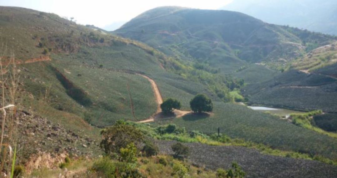 Declarado patrimonio ambiental lote donde Rodolfo Hernández proyectaba relleno sanitario