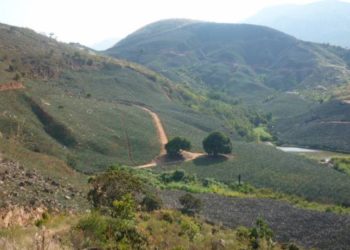 Declarado patrimonio ambiental lote donde Rodolfo Hernández proyectaba relleno sanitario