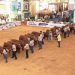 Con exposición de las razas Brahman y Gyr la Feria Ganadera se acerca a la recta final