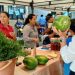 Exitoso mercado campesino se realizó en Santa Helena del Opón, Santander