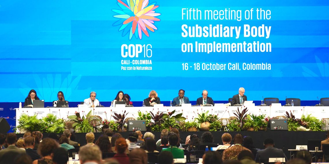 COP16: Delegaciones del mundo ya están en Colombia para el balance del acuerdo sobre la conservación de la biodiversidad