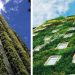 Polémica por jardines verticales en casas, apartamentos y edificios de Bucaramanga