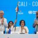 Balance que dejó la COP-16 a la biodiversidad en el debate ambiental global