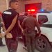 La policía capturó en flagrancia a hombres que asesinaron a una persona de 29 años, en un barrio de Piedecuesta